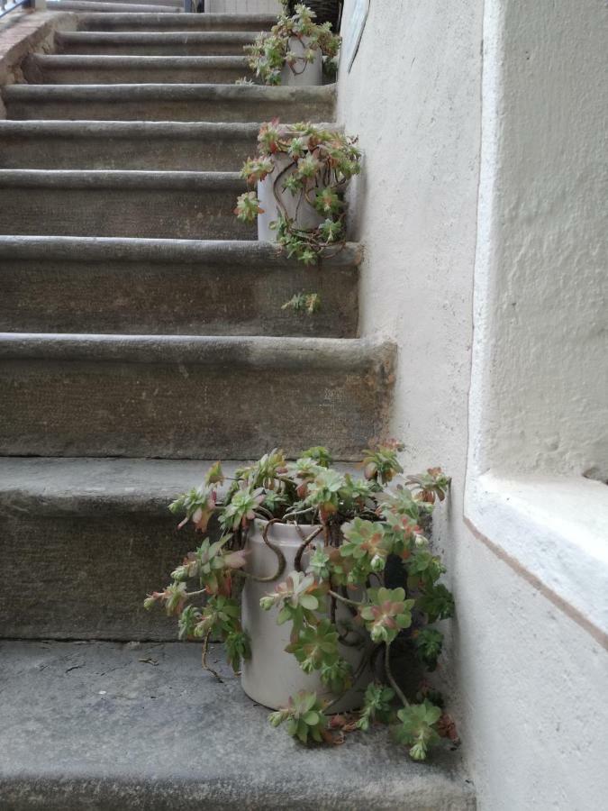 Frühstückspension Casa Del Nespolo Pilzone